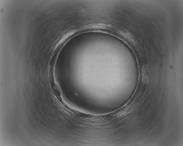 X0000083611404200702201237