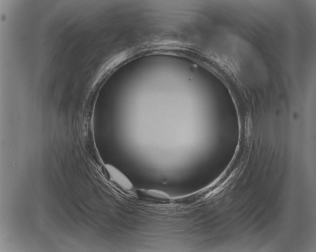 X0000083611405200702201237