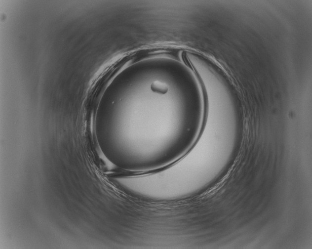 X0000083611406200702201237