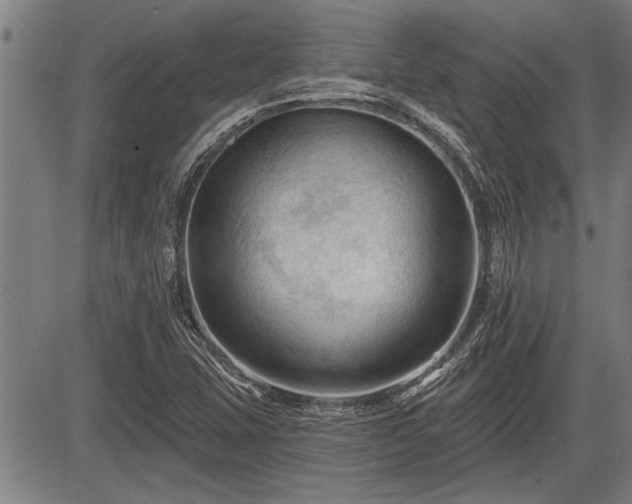 X0000083611407200702201237