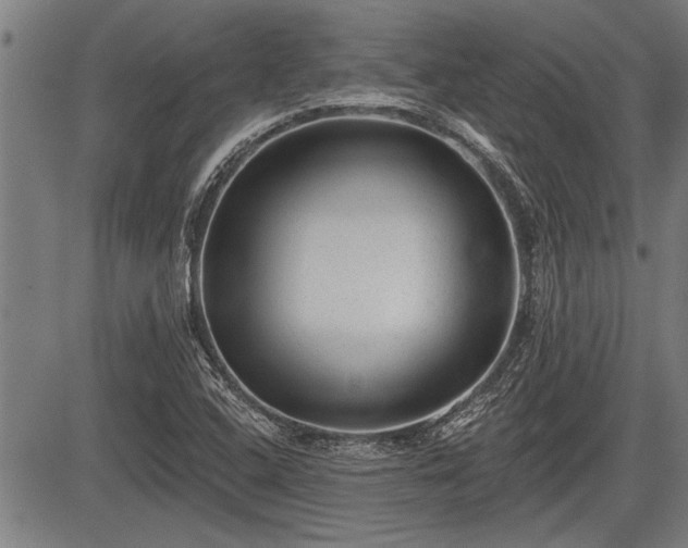 X0000083611408200702201237