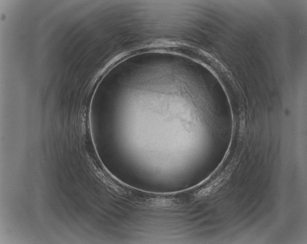 X0000083611409200702201237