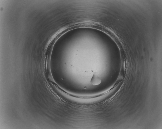 X0000083611410200702201237