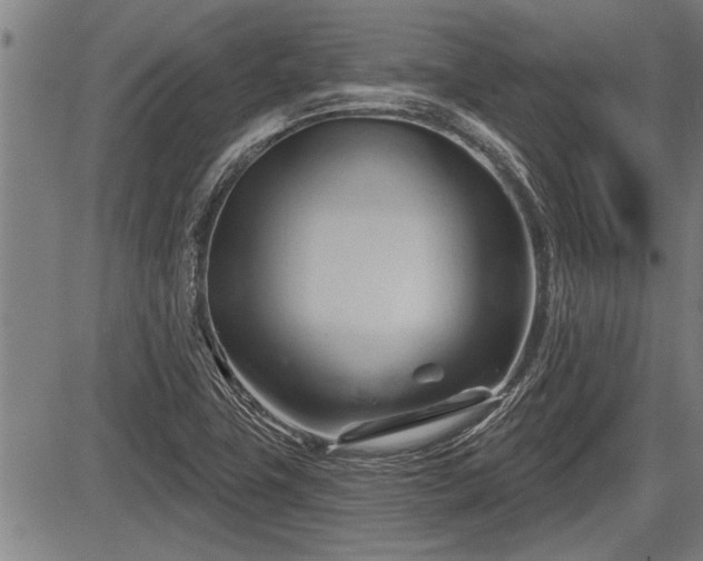 X0000083611411200702201237