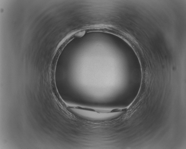 X0000083611412200702201237