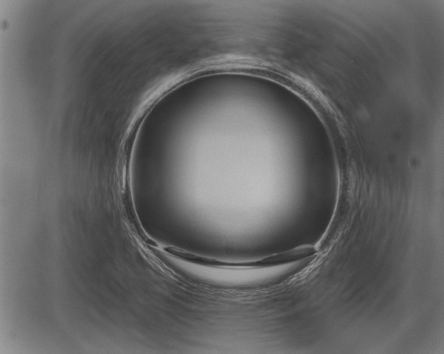 X0000083611413200702201237