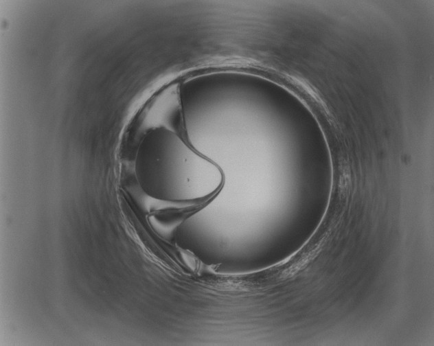 X0000083611414200702201237