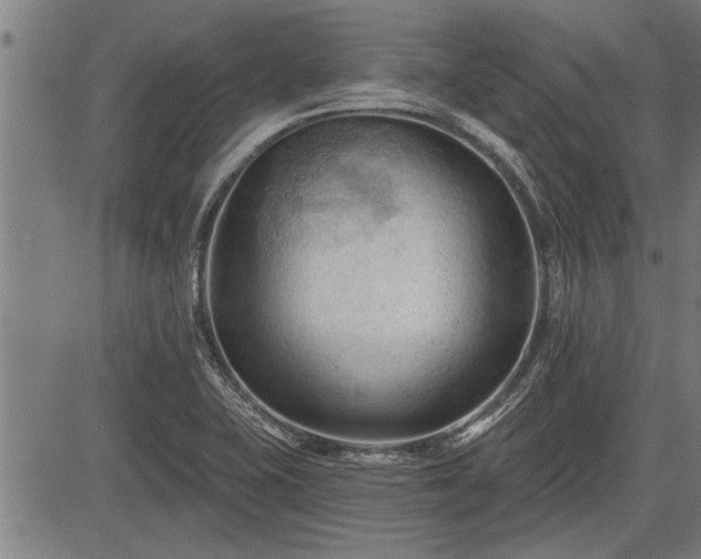 X0000083611415200702201237