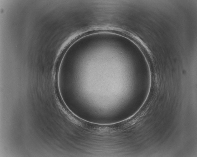 X0000083611416200702201237