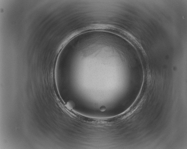 X0000083611417200702201237