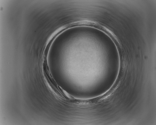 X0000083611418200702201237