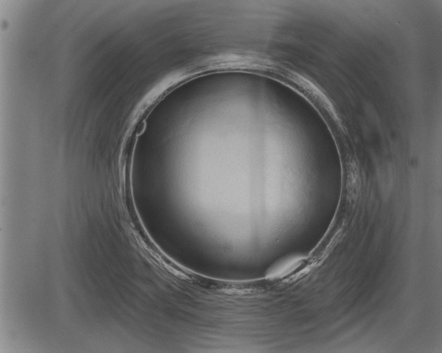 X0000083611419200702201237