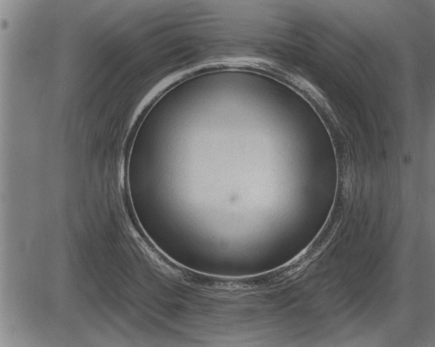 X0000083611420200702201237