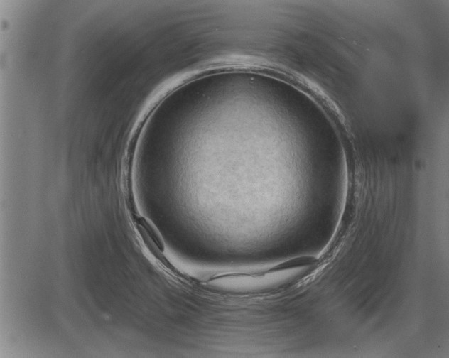 X0000083611421200702201237