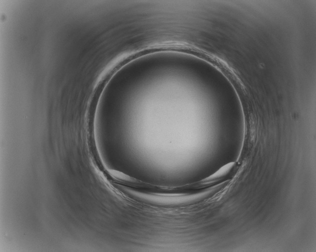 X0000083611422200702201238