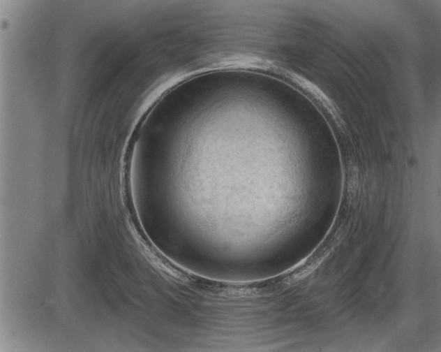 X0000083611423200702201238