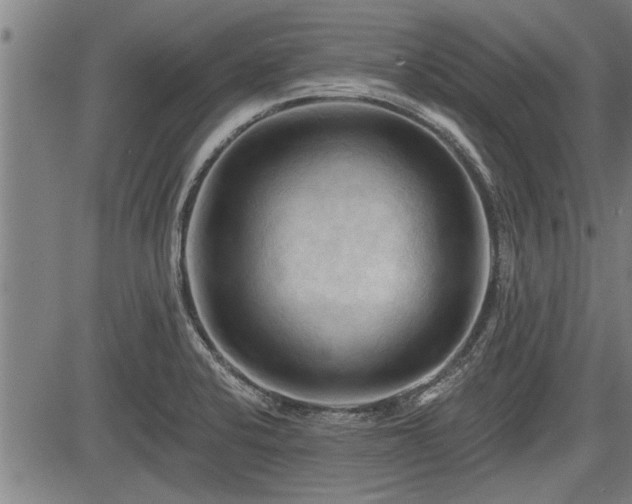 X0000083611424200702201238