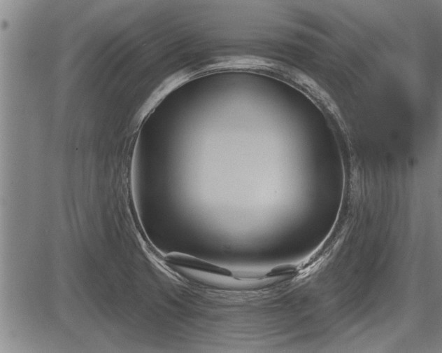 X0000083611425200702201238