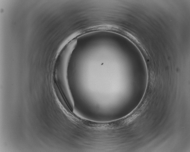 X0000083611426200702201238