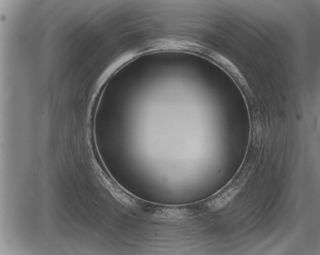 X0000083611427200702201238