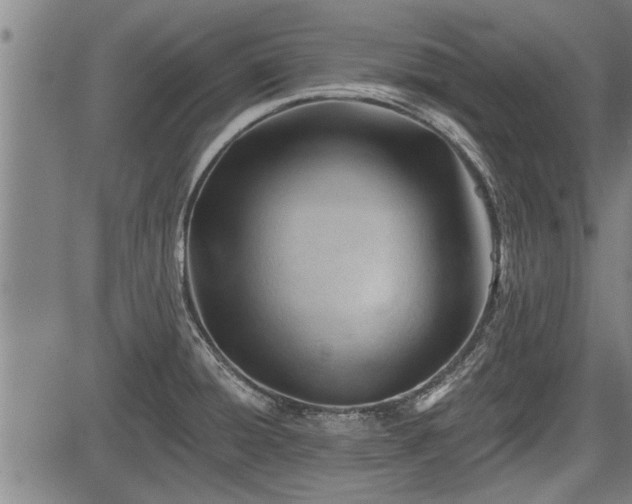 X0000083611428200702201238