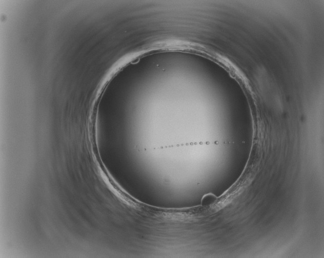 X0000083611429200702201238