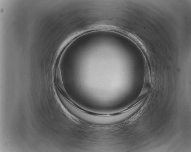 X0000083611430200702201238