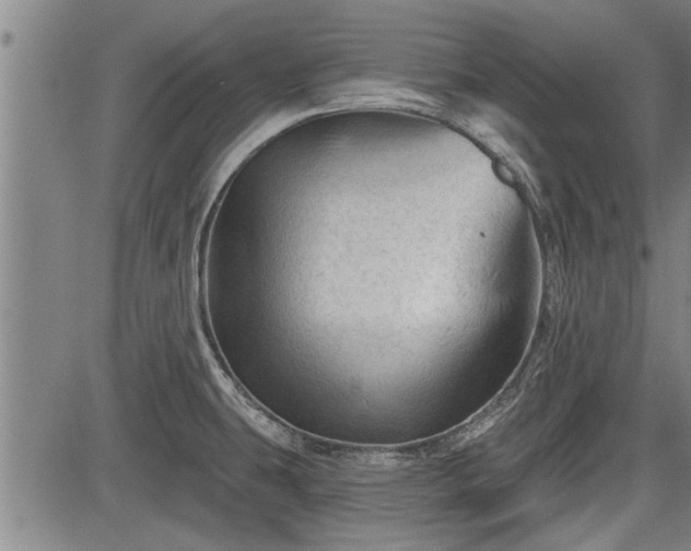 X0000083611431200702201238