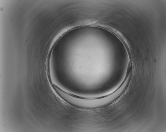 X0000083611432200702201238