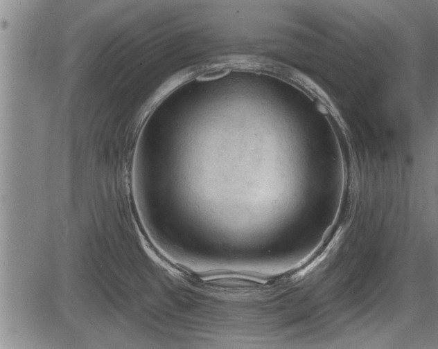 X0000083611433200702201238