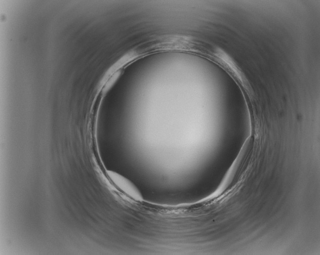 X0000083611434200702201238