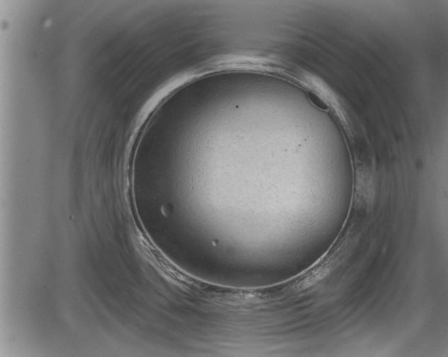 X0000083611435200702201238