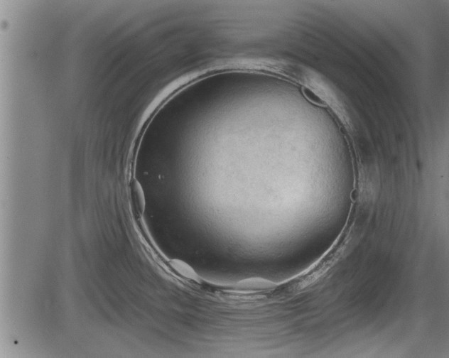 X0000083611436200702201238