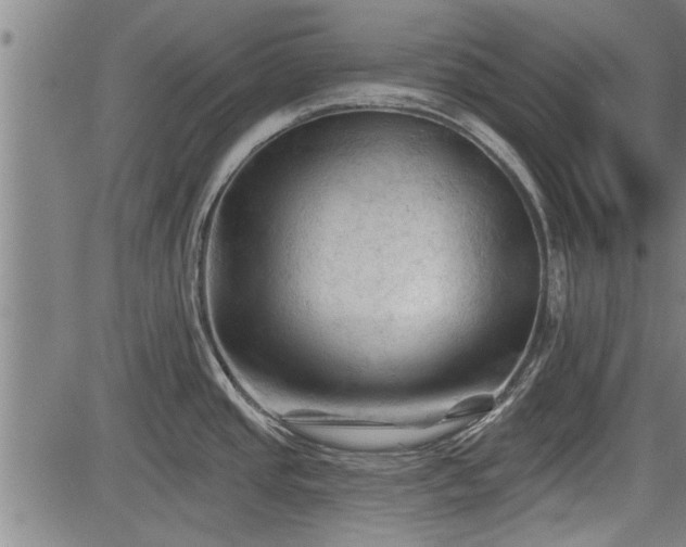 X0000083611437200702201238