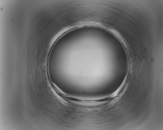 X0000083611438200702201238