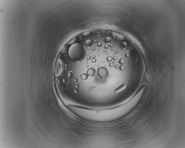 X0000083611439200702201238