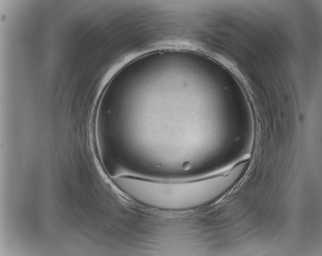 X0000083611440200702201238