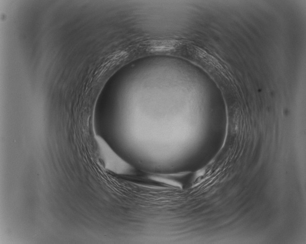 X0000083611441200702201237