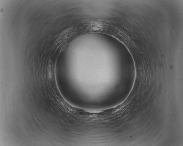 X0000083611442200702201237