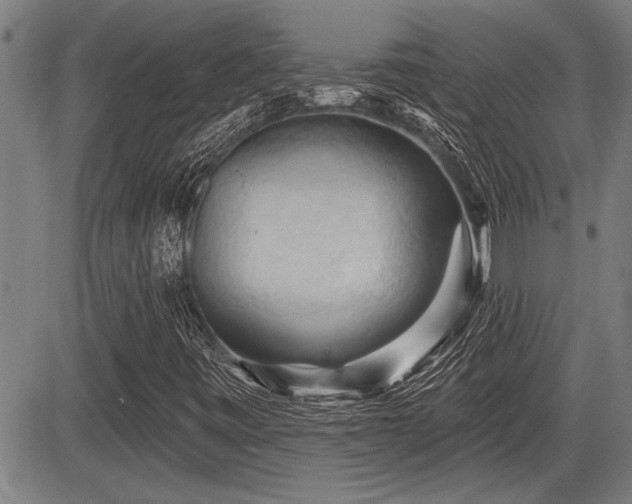 X0000083611443200702201237