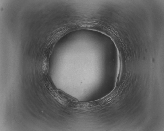 X0000083611444200702201237