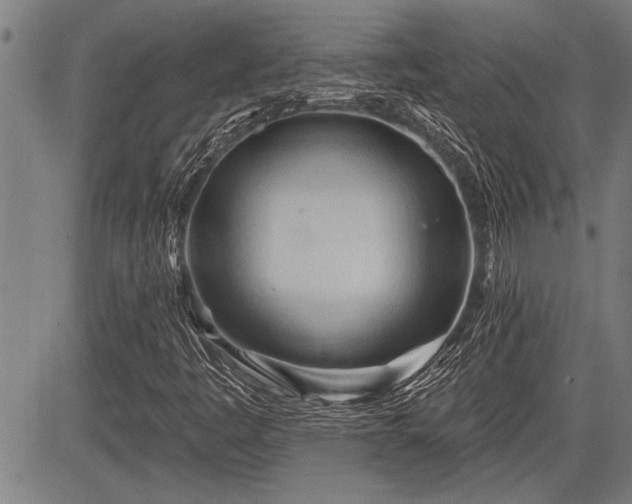 X0000083611445200702201237