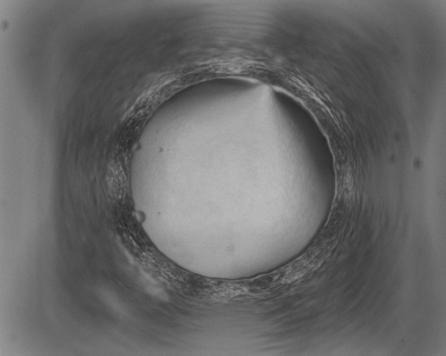 X0000083611446200702201237