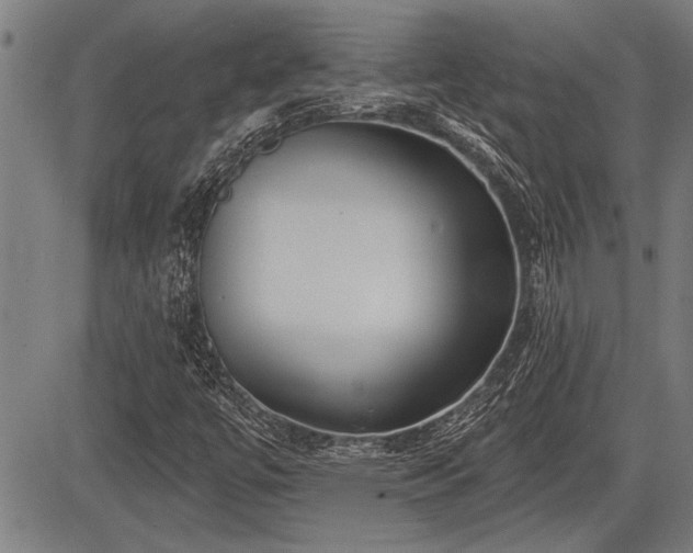 X0000083611447200702201237