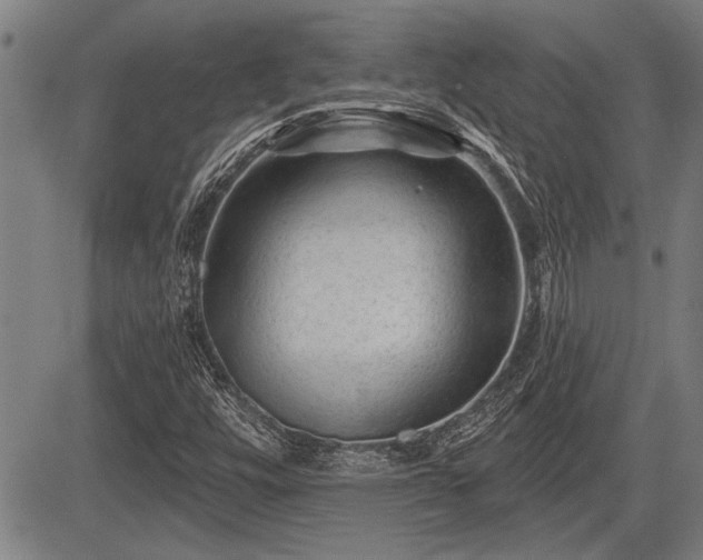 X0000083611448200702201237