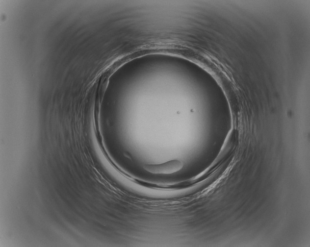 X0000083611449200702201237