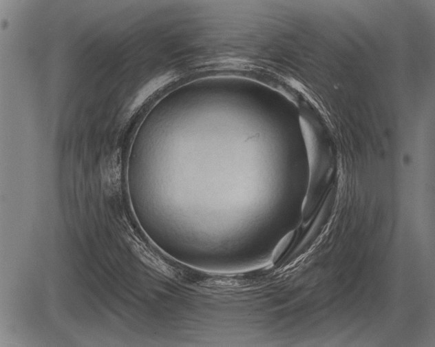 X0000083611450200702201237