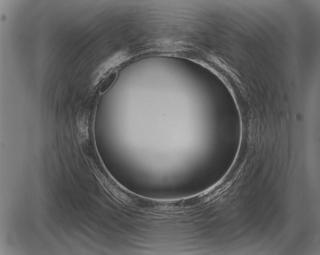 X0000083611451200702201237