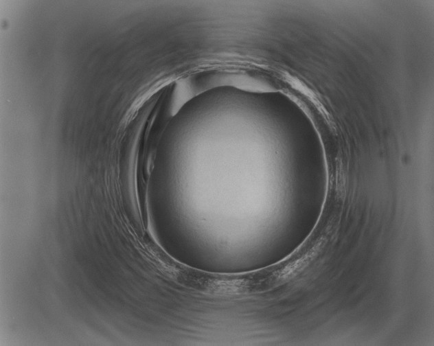 X0000083611453200702201237