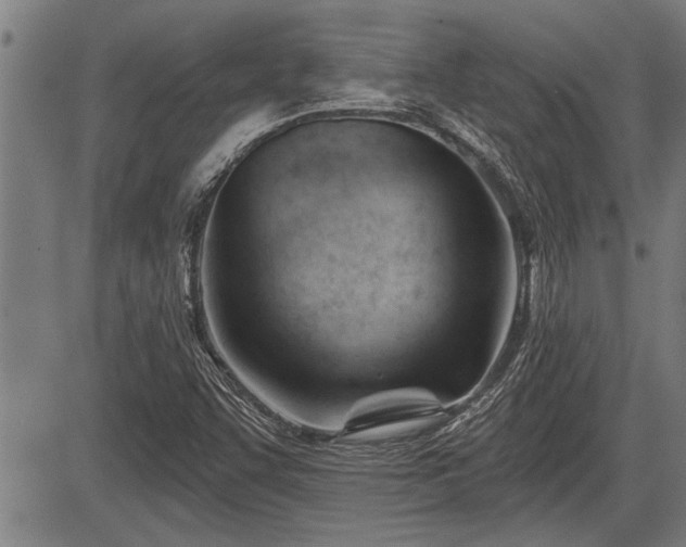 X0000083611455200702201237